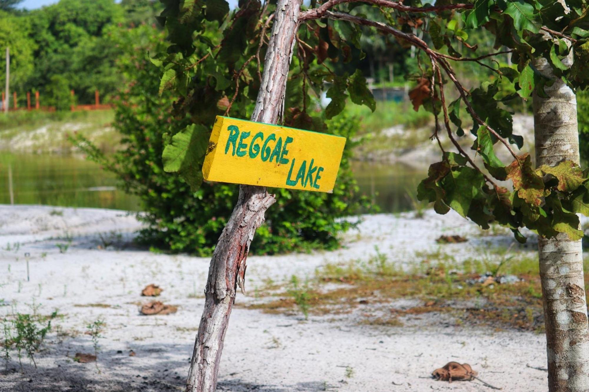 Land Of Promise - Reggae Bar & Eco Village Zanderij المظهر الخارجي الصورة