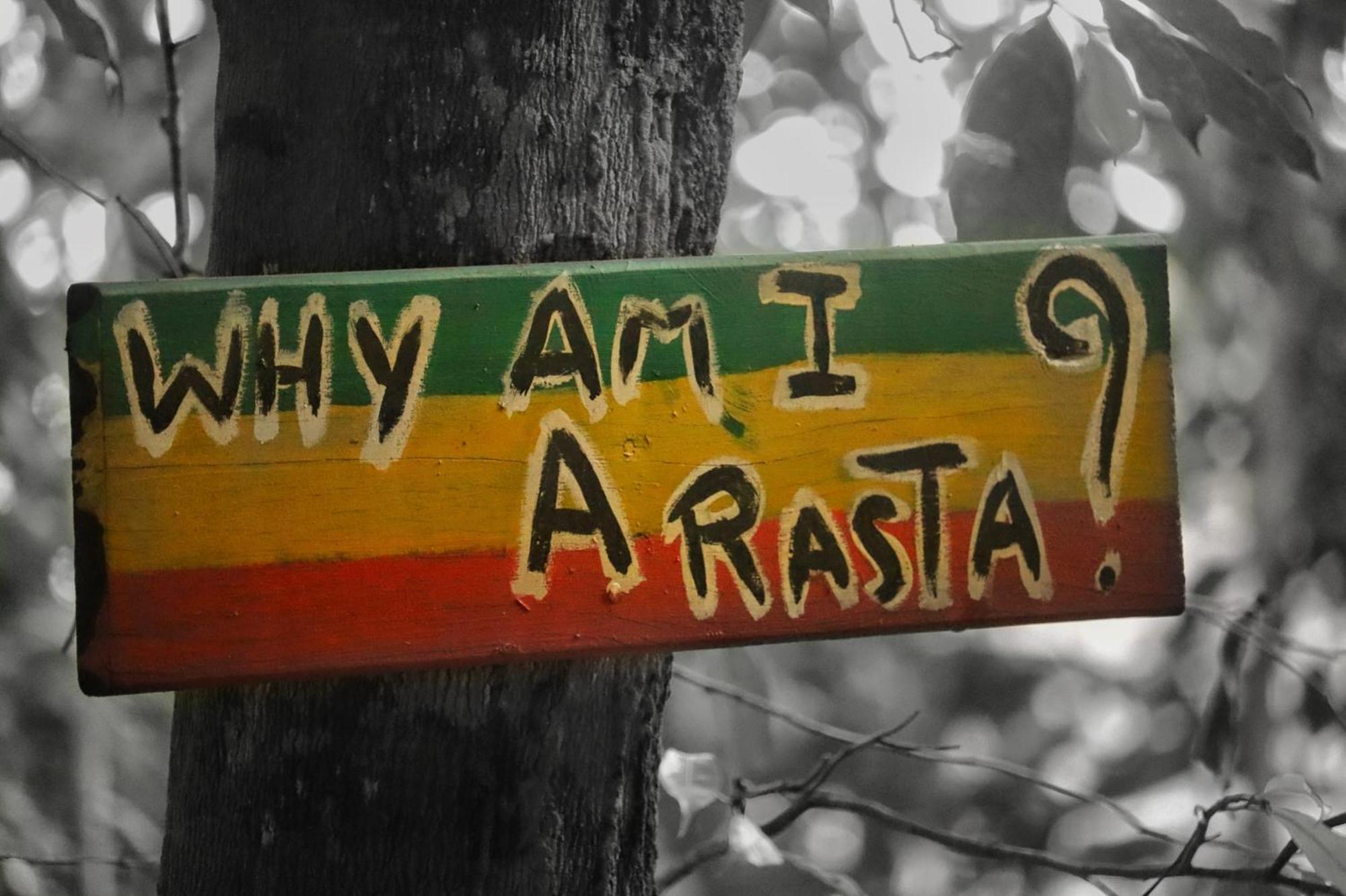 Land Of Promise - Reggae Bar & Eco Village Zanderij المظهر الخارجي الصورة
