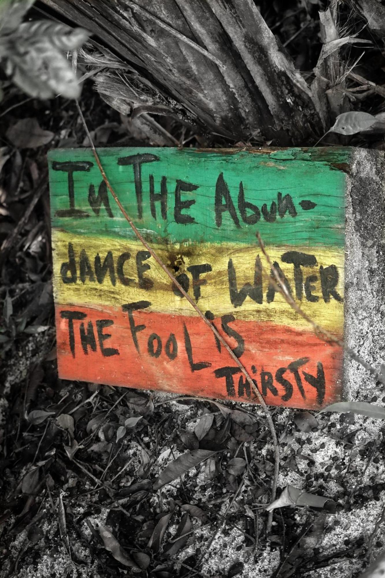 Land Of Promise - Reggae Bar & Eco Village Zanderij المظهر الخارجي الصورة